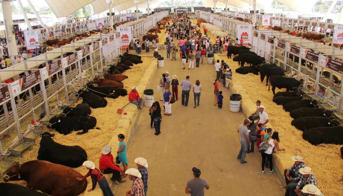 Expo ganadera Archivos LJA Aguascalientes