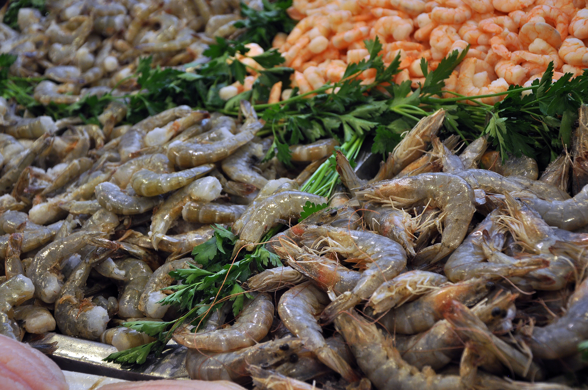 Emiten recomendaciones a quienes consumen pescado y mariscos en  Aguascalientes - LJA Aguascalientes