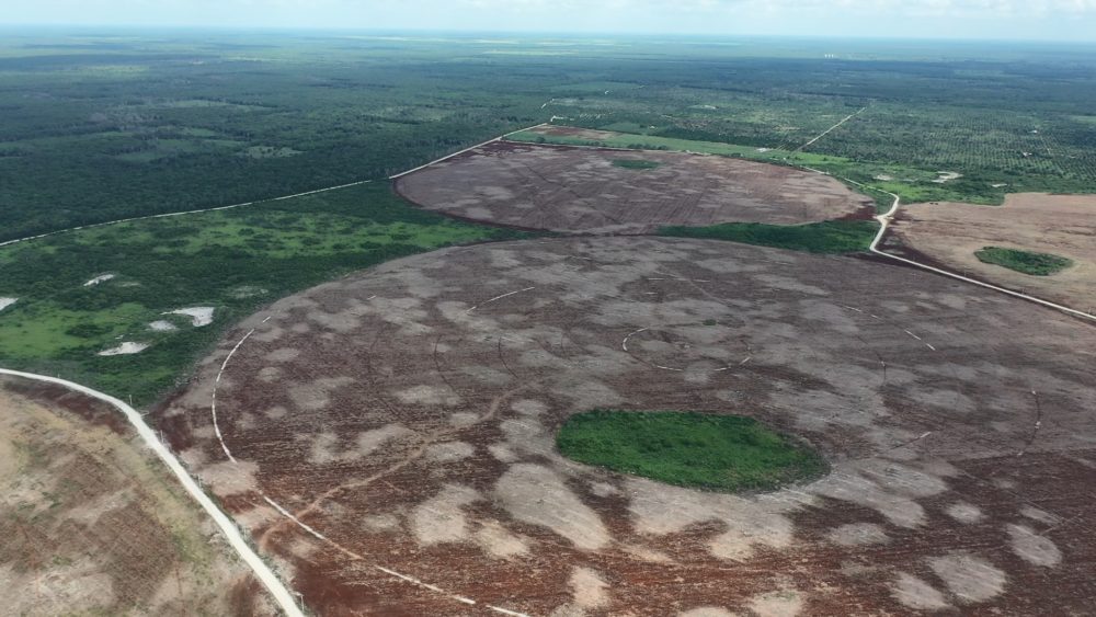 Vista aérea de los terrenos de la empresa Enerall, un megaproyecto que abarca alrededor de 15 mil hectáreas y cuyo fundador fue Alfonso Romo.