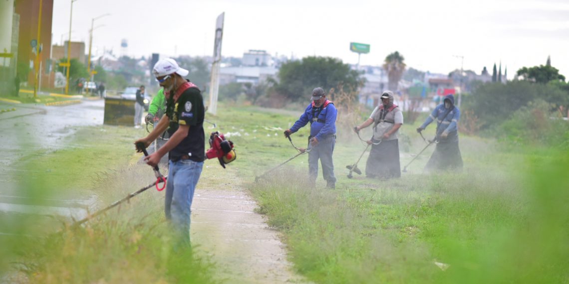 Se Rehabilitaron 76 Kilómetros Lineales En Morelos Ii En Jornada De Limpieza Y Aseo Público 4756