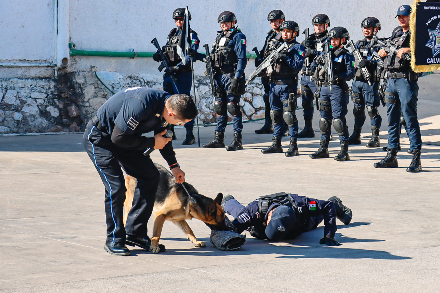 Jubilan A Elementos Caninos K 9 De La Secretaría De Seguridad Pública Y Vialidad De Calvillo 6509