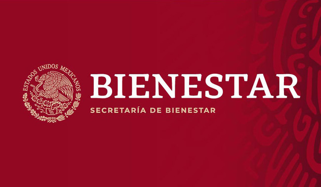 En México los programas y pensiones han contribuido a recuperar el estado de Bienestar Ariadna